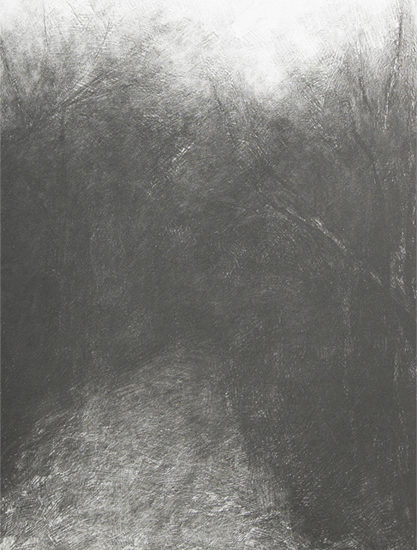 Elham Assadi: Forest